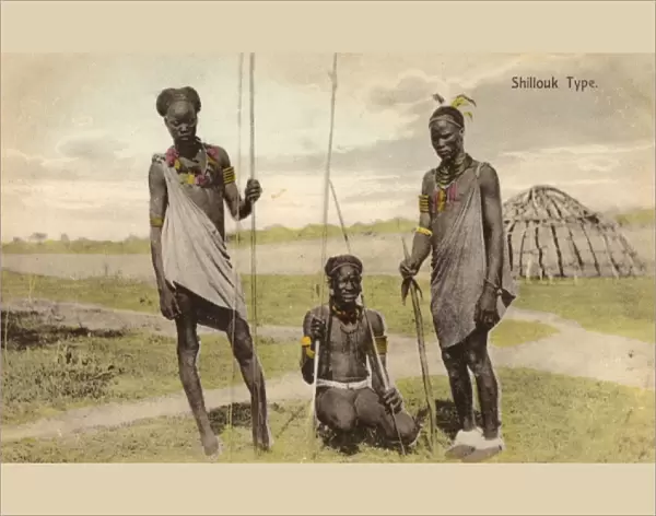 Shilluk Tribesmen