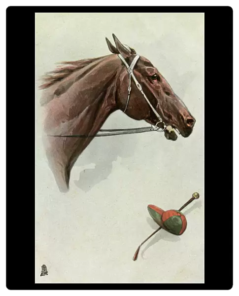 Profile portrait of a racehorse