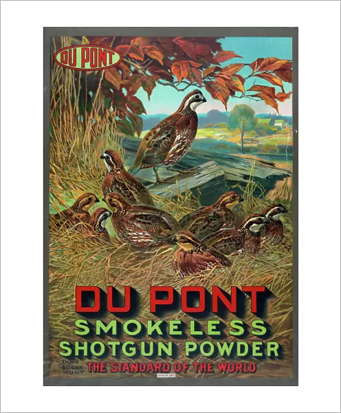 Du Pont smokeless shotgun powder - the standard of the world