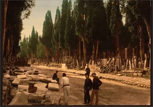 Cypresses and road leading to the cemetery, Scutari, Constan
