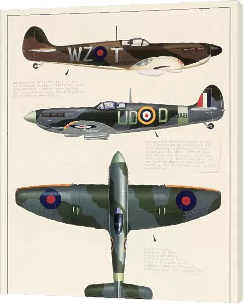 Supermarine Spitfire and Hawker Tempest aeroplanes