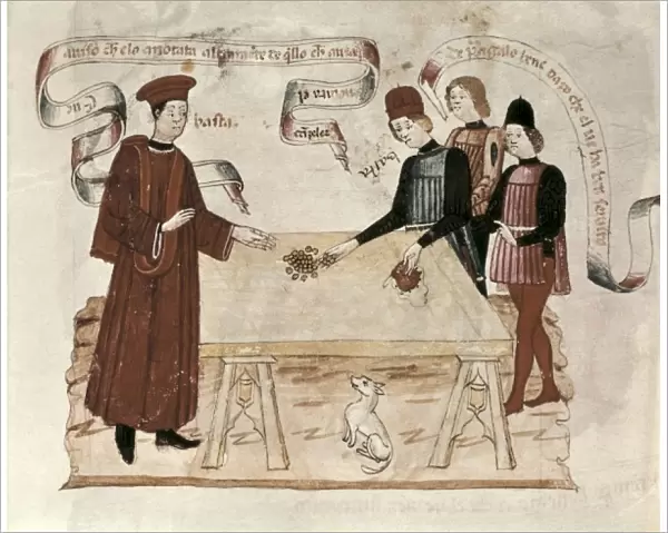 Codex of the Privileges (15th c. ). Scene of a
