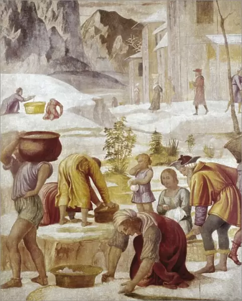 LUINI, Bernardino (1480-1532). The Gathering