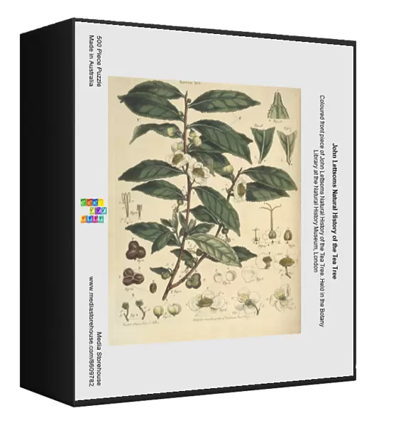 John Lettsoms Natural History of the Tea Tree