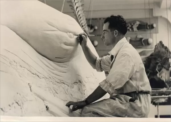 Stuart Stammwitz working on blue whale model, 1938, The Natu