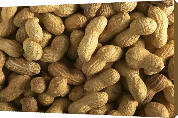 Peanuts. LA-912. Groundnuts  /  Peanuts. Jean Michel Labat