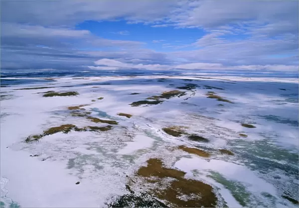 Russia Arctic tundra, melting snows, tundra of Taimyr peninsula near Kara Sea