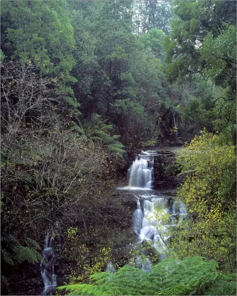 Australia - Turton creek waterfall East Gipsland. Victoria
