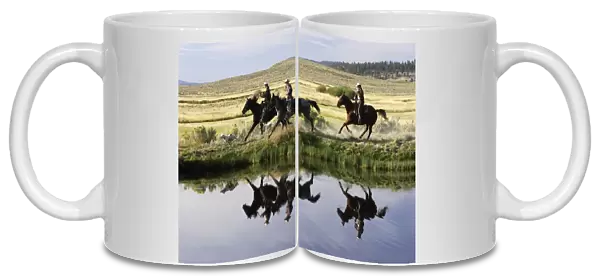 Cattlemen riding Quarter  /  Paint Horse. Ponderosa Ranch - Seneca - Oregon - USA
