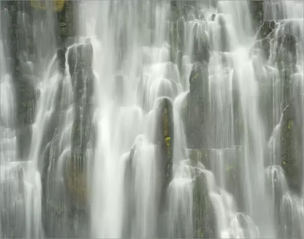 Marokopa Falls waters of Marokopa river plunging down into a wide gorge Waitomo, King Country, North Island, New Zealand