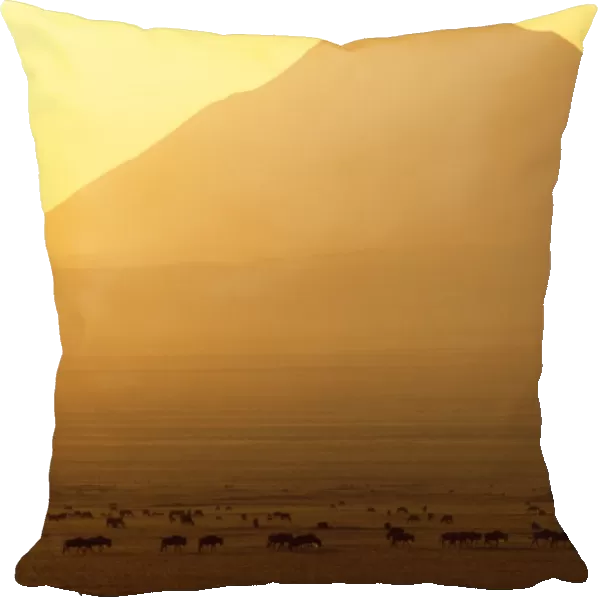 Africa - sunrise over Ol Doinyo Lengai Volcano sacred to Maasai, with wildebeeste in forground. Rift valley Ngorongoro Conservation area, Tanzania, Africa