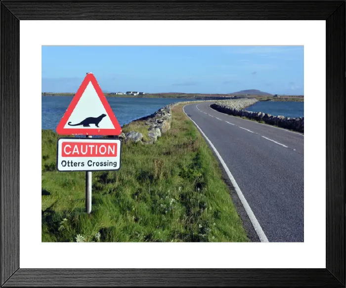 Framed Print : Benbecula Otter Crossing Print Framed Print : Benbecula Otter Crossing Print