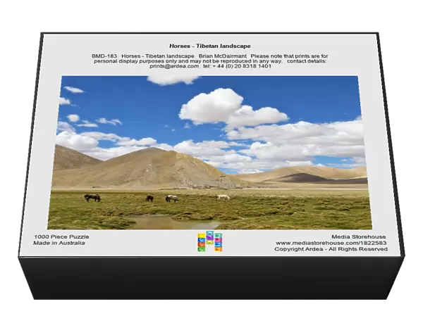 Horses - Tibetan landscape