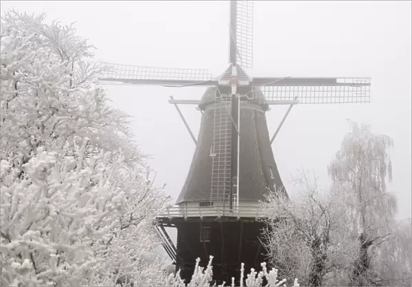 Tower mill, flourmill De Vlijt Scenery with fog and rime The Netherlands, Gelderland, Marle
