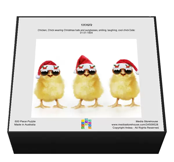 13131272. Chicken, Chick wearing Christmas hats