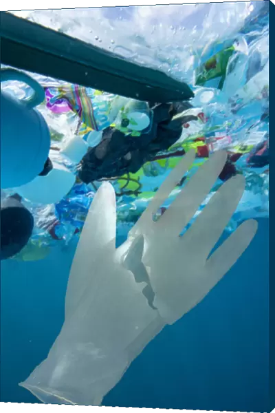 13132608. Used surgical glove drifting at sea, along with other plastic waste