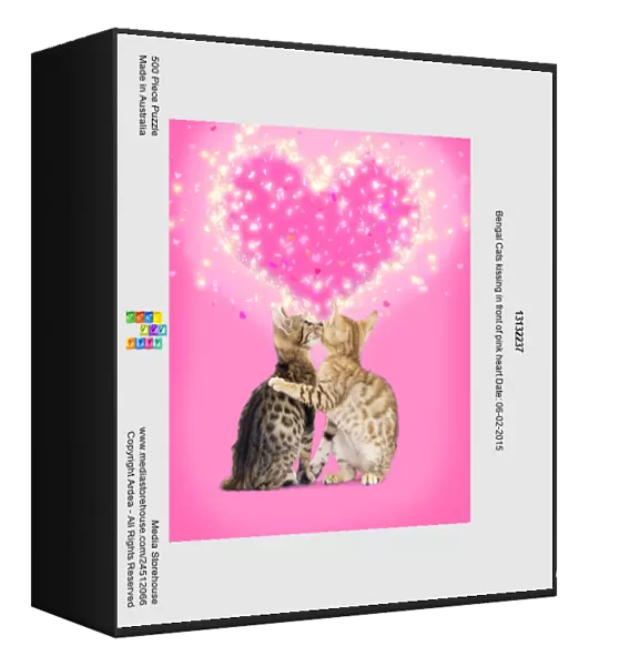 13132237. Bengal Cats kissing in front of pink heart Date