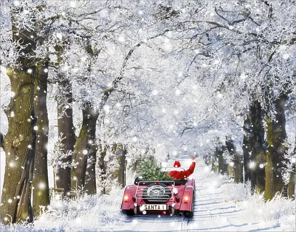 13132679. Father Christmas driving through Oak trees covered in snow in winter Date