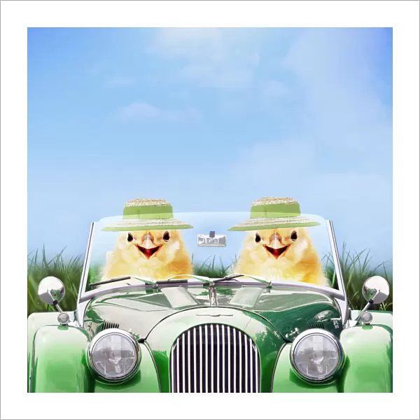Two chicks driving green sports car wearing Easter bonnets in spring