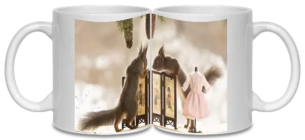 Eekhoorn; Sciurus vulgaris, Red Squirrel standing behind a dress screen