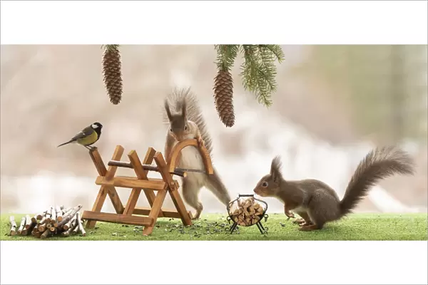 Red Squirrel and great tit are standing with a saw and saw block