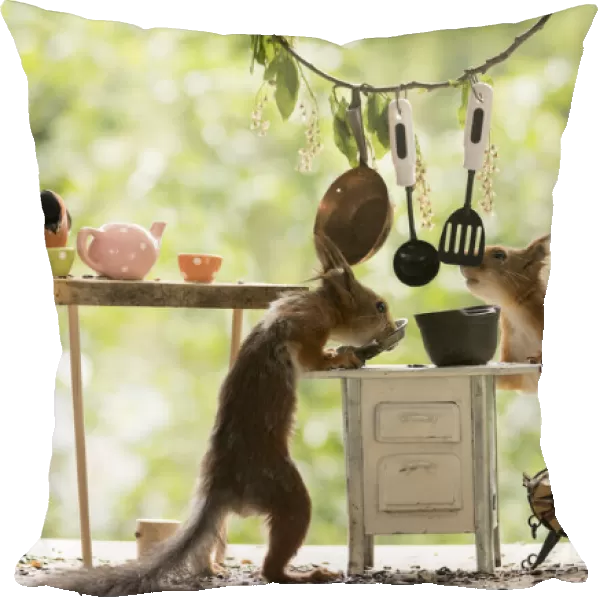 Red Squirrels and bullfinch in a kitchen