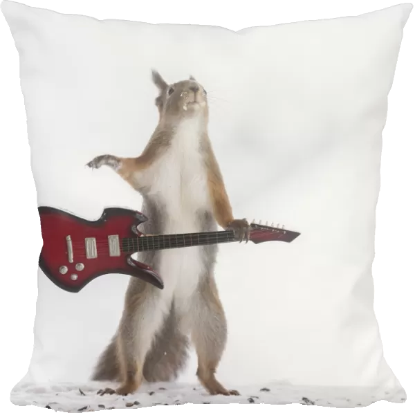 red squirrel holding a guitar looking up