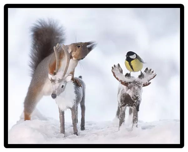 Red squirrel and titmouse standing on an moose and reindeer
