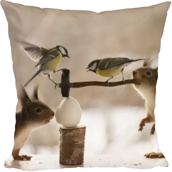 Red Squirrel and great tit holding a sledgehammer on a egg