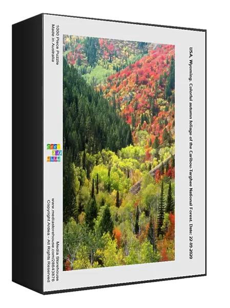 USA, Wyoming. Colorful autumn foliage of the Caribou-Targhee National Forest. Date: 22-09-2020