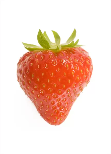 Strawberries - single in studio