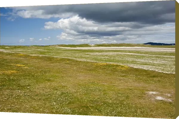 Machair - Showing rotational way in which it is farmed - North Uist - Outer Hebrides - Scotland