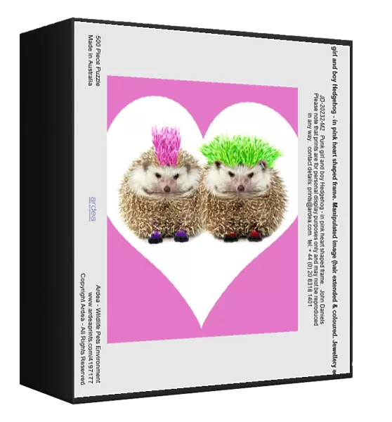 Punk girl and boy Hedgehog - in pink heart shaped frame. Manipulated image (hair extended & coloured. Jewellery added. Pink heart frame)