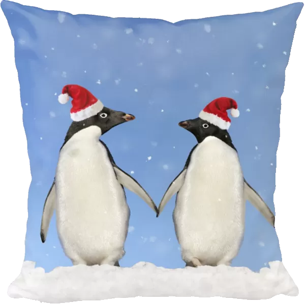 Adelie Penguin - holding hands wearing Christmas hats
