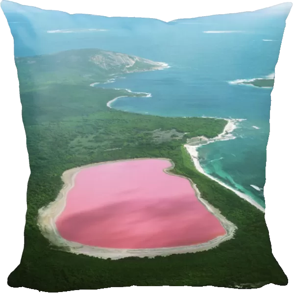 Western Australia  /  Lake Hillier - Archipelago of the Recherche Middle Island. Reason for colour remains a mystery - Pink colour is not due to prescence of algae such as Dunaliella salina, unlike other salt lakes on mainland Australia