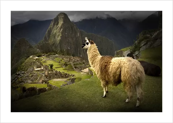 Machu Picchu Inca site. Peru