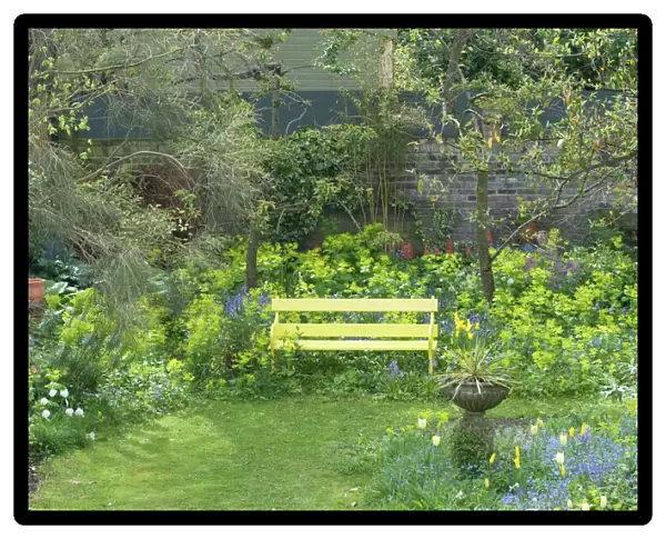 Garden Flowers including Smyrnium perfoliatum behind bench - Spring