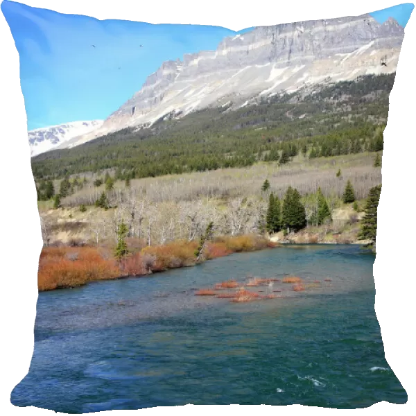 Middle fork flathead river. Glacier National Park - Montana - USA. Borders Waterton Lakes National Park - Aberta - Canada. Waterton-Glacier International Peace World Heritage site