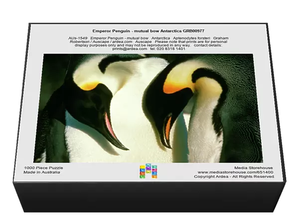 Emperor Penguin - mutual bow Antarctica GRB00977