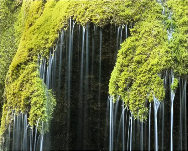 Veil fall - water cascading down sinter deposits covered with moss Bavaria, Germany