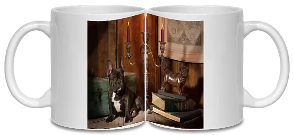 Dog - French Bulldog next to bronze of dog & candlesticks