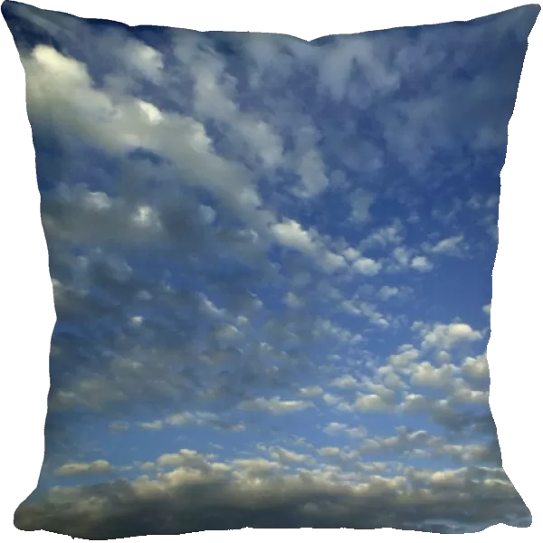 Clouds - cirrocumulus
