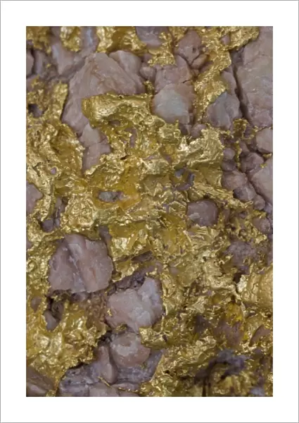 Alluvial gold specimen with rosy quartz - Western Australia