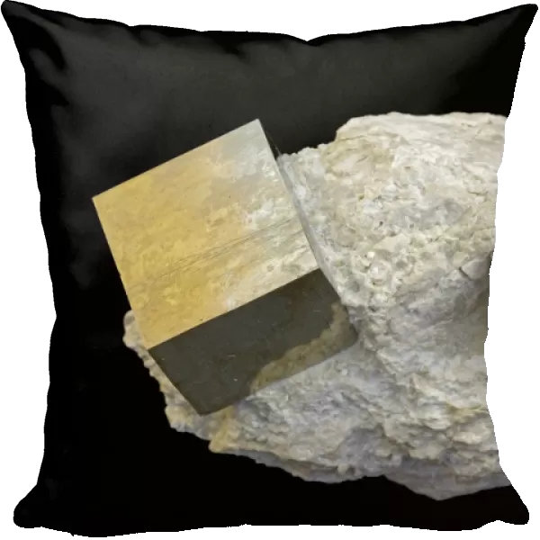 Pyrite (FeS2) (Iron sulfide)  /  'Fool's Gold' - Navajun - La Rioja - Spain