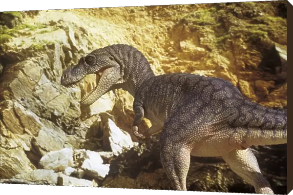 Dinosaur - Albertosaurus - hunting. Reconstruction. Late Cretaceous