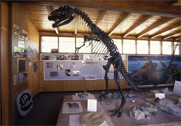Dinosaurs: Cleveland-Lloyd Quarry Visitor Center South of Price City, Utah. The Cleveland-Lloyd quarry has yielded numerous skeletons of dinosaurs, most famously Allosaurus and Stegosaurus, as well as a few sauropods