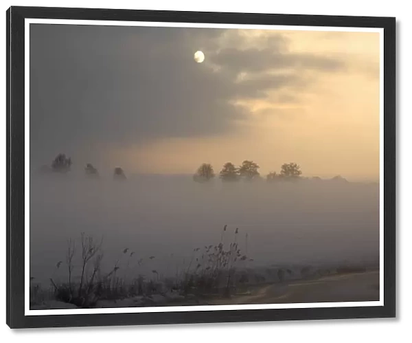 Landscape Overijssel NL with fog