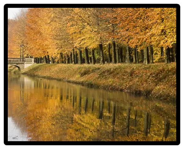 Beech Trees - Autumn colours - Ditch with castle bridge The Netherlands, Overijssel, Ommen, Eerde estate