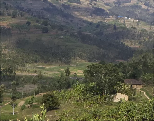 Subsistence Farm - near Kigali - Rwanda