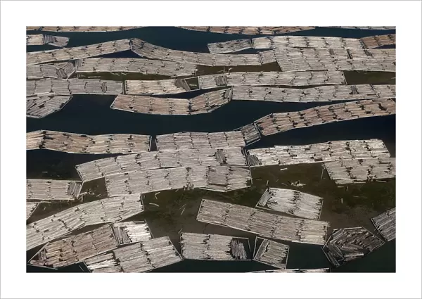 Aerial of mass of logs in water a wood train being floated to Vancouver. British Colombia - Canada